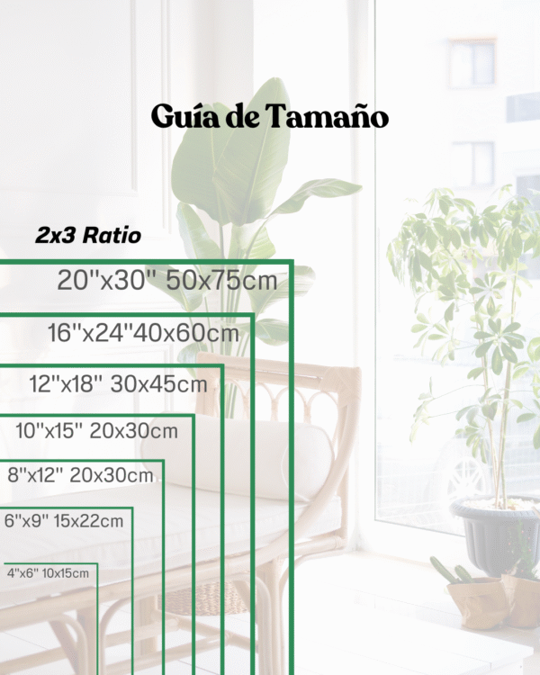 Set de 3 Cuadros Motivacionales - Image 4